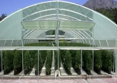 Polietileno para Invernadero